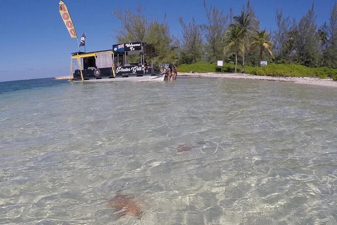 Stingray City Experience Plus Two Snorkeling spots Private Boat - Starfish Point Snorkeling, Clear Water, and a Reality Check