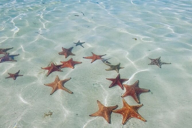 Stingray City Experience Plus Two Snorkeling spots Private Boat - Weather, Safety, and One Real-World Note About Boarding
