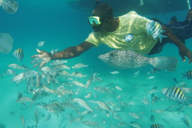 Stingray City Experience Plus Two Snorkeling Stops on Grand Cayman - What to bring so you are comfortable in and out of the water