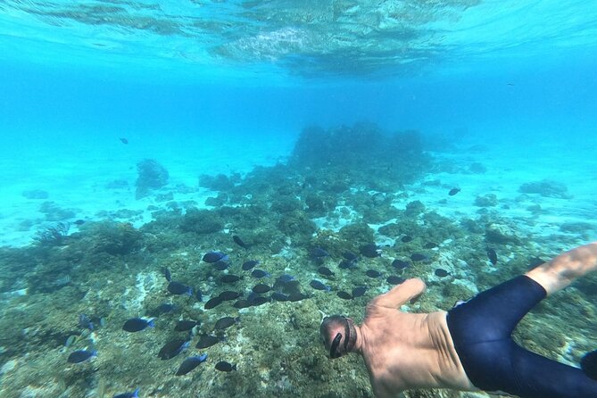 Stingray City, Star fish Point and Snorkeling Private Boat Tour - Crew matters: Omar, Dean, Chris, and the comfort-first style