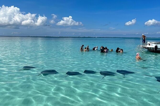 StingrayCity ,Coral Garden & Starfish Tour. - Key Highlights You Should Actually Care About