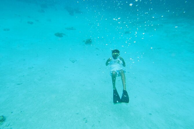 StingrayCity ,Coral Garden & Starfish Tour. - Stop 2: Coral Gardens Snorkeling, Colorful Fish, and the Day’s Water Conditions