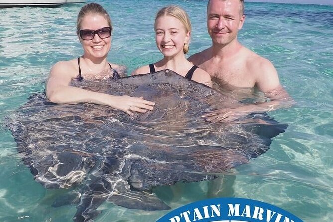 Stingrays, Starfish and Snorkeling Tour - Coral Gardens or the Barrier Reef: how to plan your one snorkel window