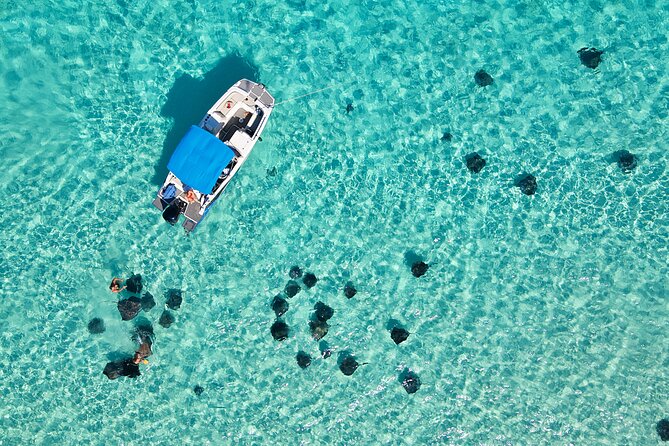 Sunrise at Stingray City, Private Tour - Key highlights worth waking up for