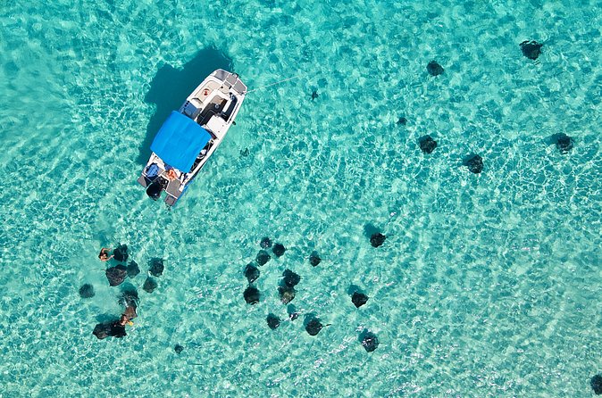 Sunrise at Stingray City, Private Tour - Who this sunrise Stingray City charter is for